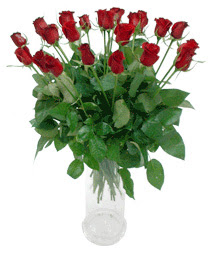  Kırklareli hediye sevgilime hediye çiçek  11 adet kimizi gülün ihtisami cam yada mika vazo modeli