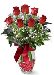  Kırklareli İnternetten çiçek siparişi  7 adet kirmizi gül cam vazo yada mika vazoda