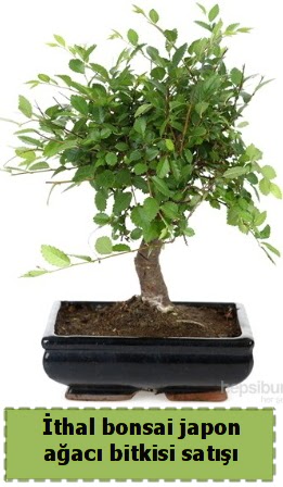 thal bonsai saks iei Japon aac sat  Krklareli cicekciler , cicek siparisi 
