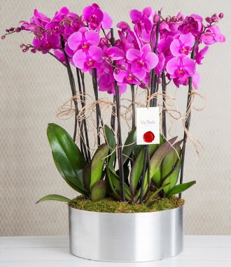 11 dall mor orkide metal vazoda  Krklareli uluslararas iek gnderme 