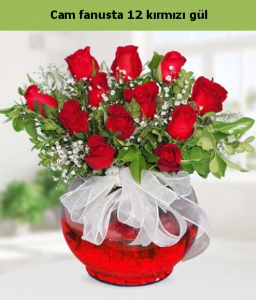 Cam içerisinde 12 adet kırmızı gül  Kırklareli online çiçekçi , çiçek siparişi 