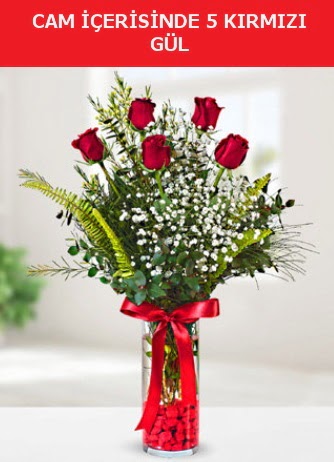 Cam içerisinde 5 adet kırmızı gül  Kırklareli yurtiçi ve yurtdışı çiçek siparişi 