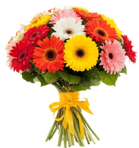 Gerbera demeti buketi  Kırklareli çiçek online çiçek siparişi 