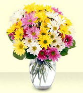  Kırklareli İnternetten çiçek siparişi  mevsim çiçekleri mika yada cam vazo