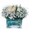 mika ve beyaz gül renkli taslar   Kırklareli çiçek online çiçek siparişi 