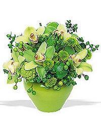 cam yada mika vazoda 5 adet orkide   Kırklareli online çiçek gönderme sipariş  