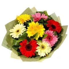 9 adet karisik gerbera demeti  Kırklareli internetten çiçek satışı 