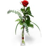  Kırklareli hediye sevgilime hediye çiçek  1 adet kirmizi gül cam yada mika vazo içerisinde