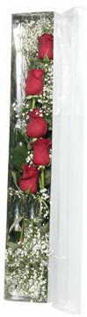 Kırklareli yurtiçi ve yurtdışı çiçek siparişi   5 adet gülden kutu güller