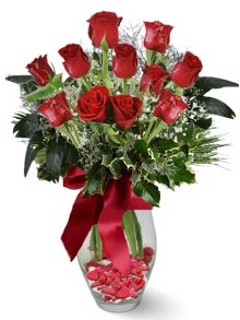 9 adet gül  Kırklareli online çiçekçi , çiçek siparişi  kirmizi gül