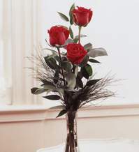  Kırklareli online çiçekçi , çiçek siparişi  Vazoda 3 adet güzel gül