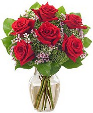 Kız arkadaşıma hediye 6 kırmızı gül  Kırklareli İnternetten çiçek siparişi 