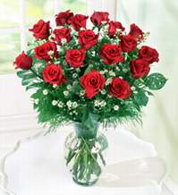  Kırklareli online çiçekçi , çiçek siparişi  9 adet mika yada vazoda kirmizi güller