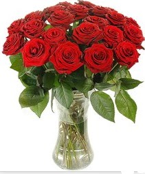  Kırklareli internetten çiçek satışı  Vazoda 15 adet kırmızı gül tanzimi
