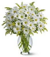 Vazo içerisinde beyaz krizantem çiçekleri  Kırklareli güvenli kaliteli hızlı çiçek 