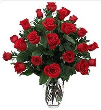  Kırklareli yurtiçi ve yurtdışı çiçek siparişi  24 adet kırmızı gülden vazo tanzimi