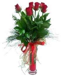 vazo içerisinde 5 kırmızı gül  Kırklareli internetten çiçek siparişi 