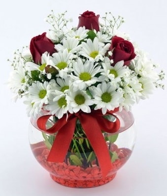 Fanusta 3 Gül ve Papatya  Kırklareli online çiçekçi , çiçek siparişi 