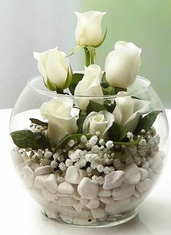 Beyaz Mutluluk 9 beyaz gül fanusta  Kırklareli yurtiçi ve yurtdışı çiçek siparişi 