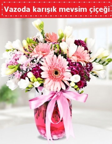Vazoda karışık mevsim çiçeği  Kırklareli çiçek servisi , çiçekçi adresleri 